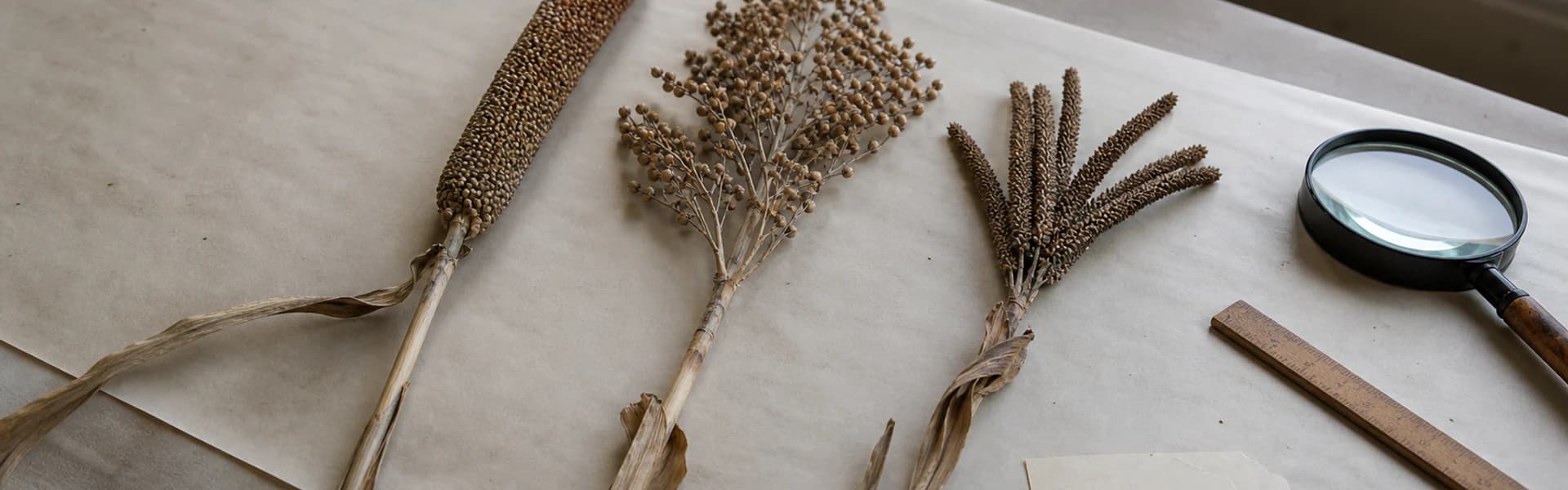 Millet Glossary