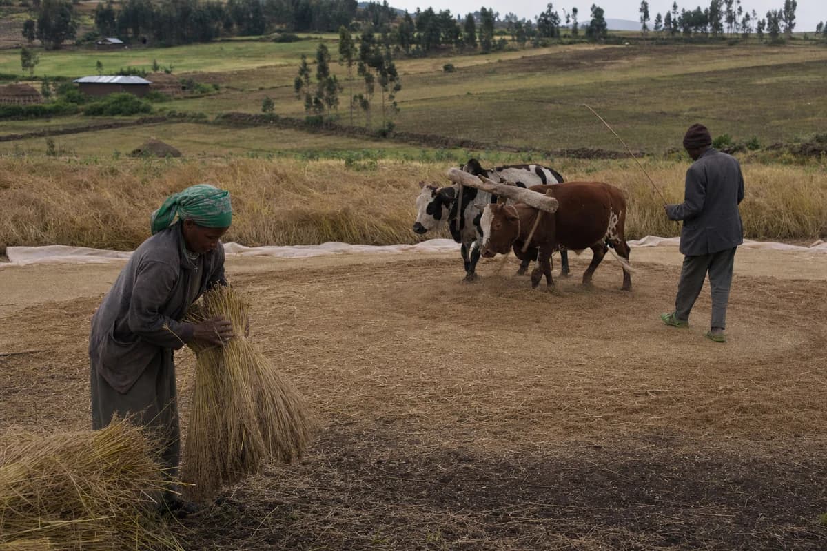 Ethiopia & the Horn of Africa