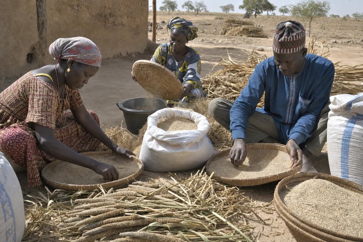 África Occidental y Sahel